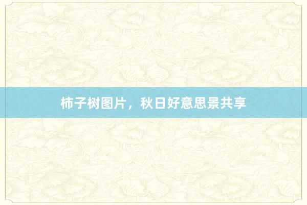 柿子树图片，秋日好意思景共享