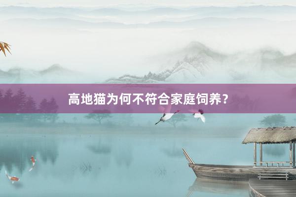 高地猫为何不符合家庭饲养？